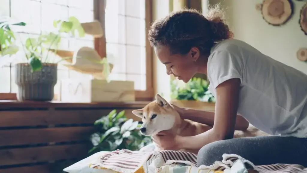 renters insurance cover dog bites
